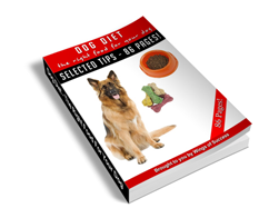 Free MRR eBook – Dog Diet – The Right Food for Your Dog