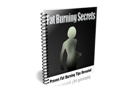 Free PLR eBook – Fat Burning Secrets