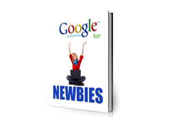 Free PLR eBook – Google Adsense for Newbies