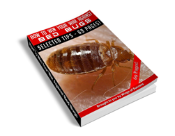 Free MRR eBook – How to Win Your War Against Bed Bugs