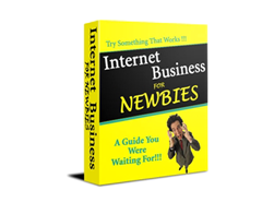 Free PLR eBook – Internet Business for Newbies