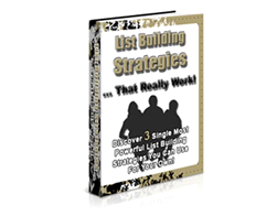 Free PLR eBook – List Building Strategies that Really Work
