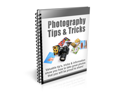 Free PLR Newsletter – Photography Tips and Tricks