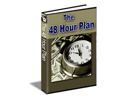 Free PLR eBook The 48 Hour Plan Free PLR Downloads