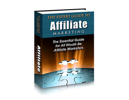 Free PLR eBook – The Expert Guide to Affiliate Marketing