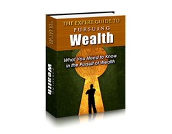 Free PLR eBook – The Expert Guide to Pursuing Wealth