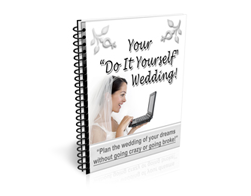 Free PLR Newsletter – Your Do it Yourself Wedding