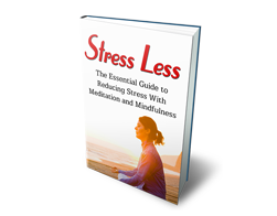 Free MRR eBook – Stress Less