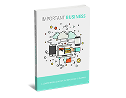 Free MRR eBook – Important Business
