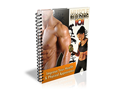 Free MRR eBook – Muscle Building 101