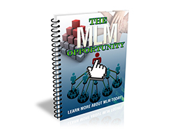 Free MRR eBook – The MLM Opportunity